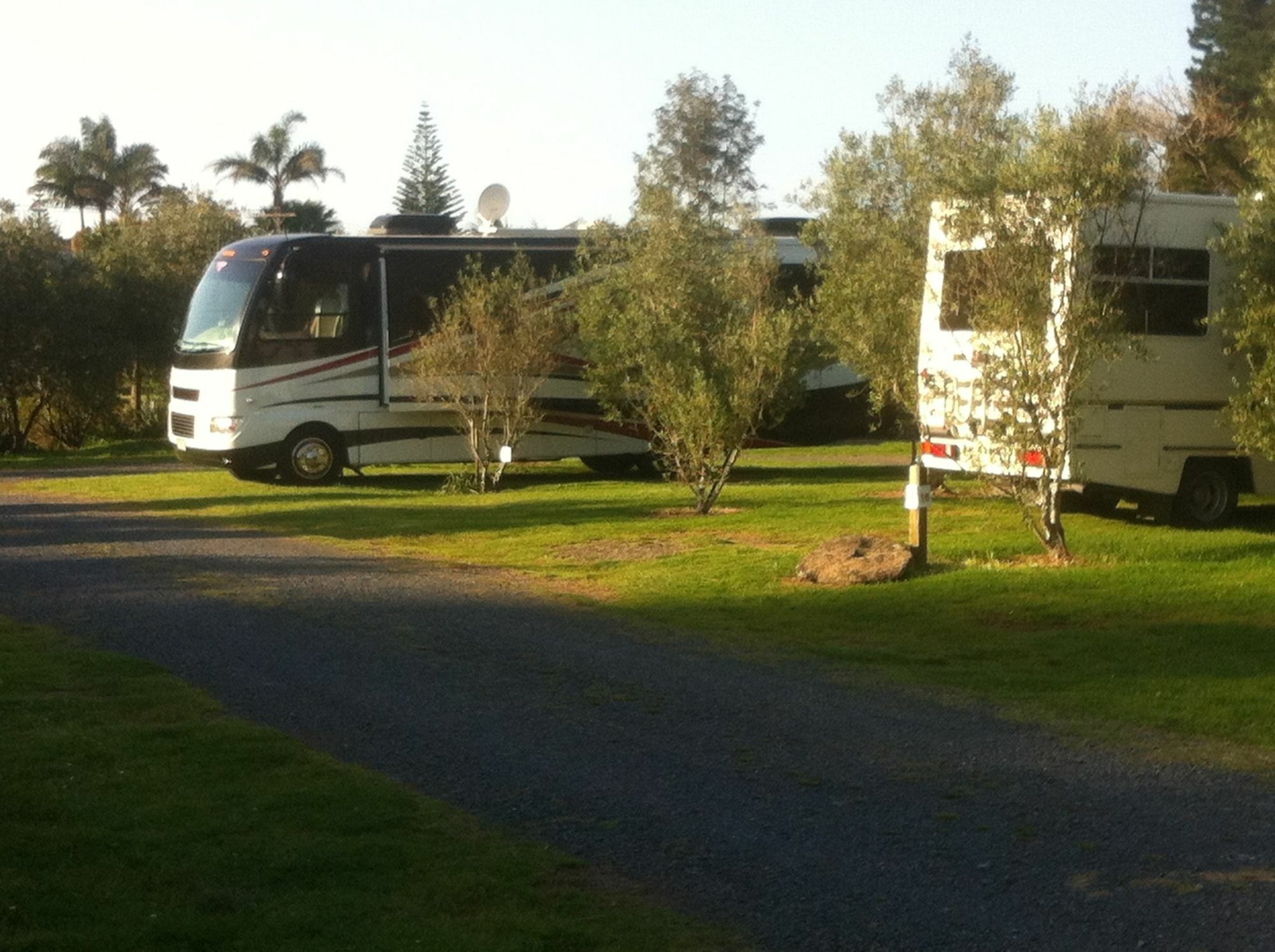 Bay Of Islands Holiday Apartments Paihia Exterior foto